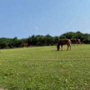 ヒメ日記 2026/05/06 16:49 投稿 天使　つむぎ 川崎南町人妻高級ソープ エル・カーヒル(ELCURHIL)秘密の刻