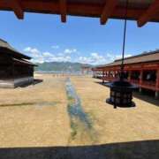 ヒメ日記 2026/06/19 12:49 投稿 天使　つむぎ 川崎南町人妻高級ソープ エル・カーヒル(ELCURHIL)秘密の刻