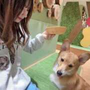 ヒメ日記 2025/06/03 13:58 投稿 あめ JAPAN CLUB BUNNY LOUNGE