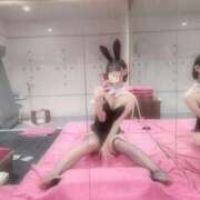 ヒメ日記 2025/06/27 17:15 投稿 あめ JAPAN CLUB BUNNY LOUNGE