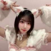 ヒメ日記 2025/09/29 01:18 投稿 あめ JAPAN CLUB BUNNY LOUNGE