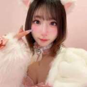 ヒメ日記 2025/10/22 12:15 投稿 あめ JAPAN CLUB BUNNY LOUNGE