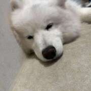 ヒメ日記 2025/11/21 06:00 投稿 あめ JAPAN CLUB BUNNY LOUNGE