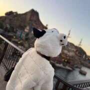 ヒメ日記 2026/01/25 06:00 投稿 あめ JAPAN CLUB BUNNY LOUNGE