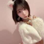 ヒメ日記 2026/01/28 08:01 投稿 あめ JAPAN CLUB BUNNY LOUNGE