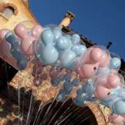 ヒメ日記 2026/02/05 09:01 投稿 あめ JAPAN CLUB BUNNY LOUNGE