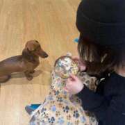 ヒメ日記 2026/02/05 22:45 投稿 あめ JAPAN CLUB BUNNY LOUNGE