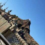 あめ 理由はないけど… JAPAN CLUB BUNNY LOUNGE