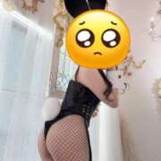 ヒメ日記 2026/03/13 06:00 投稿 あめ JAPAN CLUB BUNNY LOUNGE