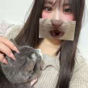 ヒメ日記 2026/04/01 06:00 投稿 あめ JAPAN CLUB BUNNY LOUNGE