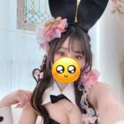 ヒメ日記 2026/04/01 21:01 投稿 あめ JAPAN CLUB BUNNY LOUNGE