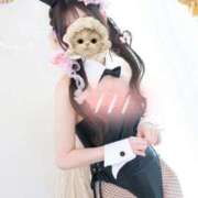 あめ おはよん☀️ JAPAN CLUB BUNNY LOUNGE