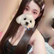 ヒメ日記 2026/08/17 06:00 投稿 あめ JAPAN CLUB BUNNY LOUNGE