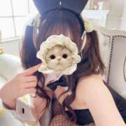ヒメ日記 2026/08/19 12:04 投稿 あめ JAPAN CLUB BUNNY LOUNGE