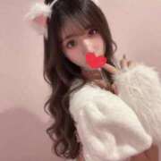 ヒメ日記 2026/09/26 20:01 投稿 あめ JAPAN CLUB BUNNY LOUNGE