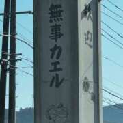 ヒメ日記 2025/12/01 13:47 投稿 まりん ムーランルージュ
