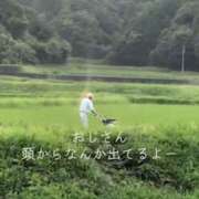 ゆき 神田ハンドメイド（神田/デリヘル）