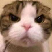 ヒメ日記 2025/08/29 18:54 投稿 ゆき 神田ハンドメイド