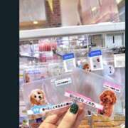 ヒメ日記 2026/02/13 19:11 投稿 ゆき 神田ハンドメイド