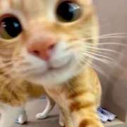 ヒメ日記 2026/03/13 17:23 投稿 ゆき 神田ハンドメイド