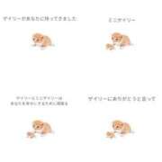 ヒメ日記 2026/03/21 18:35 投稿 ゆき 神田ハンドメイド