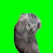 ヒメ日記 2026/04/04 15:48 投稿 ゆき 神田ハンドメイド