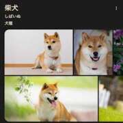 ヒメ日記 2026/04/09 15:20 投稿 ゆき 神田ハンドメイド