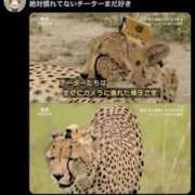 ゆき いるよ！まってるー?? 神田ハンドメイド