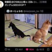 ヒメ日記 2026/07/03 21:50 投稿 ゆき 神田ハンドメイド
