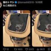 ヒメ日記 2026/07/16 14:19 投稿 ゆき 神田ハンドメイド