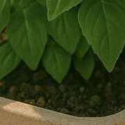 ヒメ日記 2025/05/27 20:10 投稿 ゆき 上野ハンドメイド