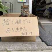 ヒメ日記 2025/06/24 22:46 投稿 ゆき 上野ハンドメイド