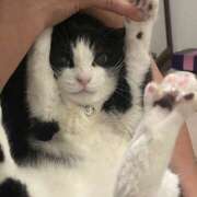 ヒメ日記 2025/06/25 13:00 投稿 ゆき 上野ハンドメイド