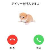 ヒメ日記 2025/07/16 22:20 投稿 ゆき 上野ハンドメイド