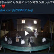 ヒメ日記 2025/08/12 17:46 投稿 ゆき 上野ハンドメイド