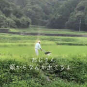 ヒメ日記 2025/08/12 19:50 投稿 ゆき 上野ハンドメイド