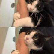 ヒメ日記 2025/09/04 18:00 投稿 ゆき 上野ハンドメイド