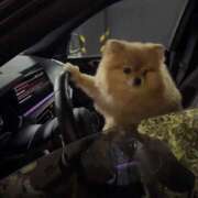 ヒメ日記 2025/09/07 22:30 投稿 ゆき 上野ハンドメイド