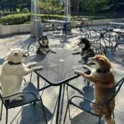 ヒメ日記 2025/09/11 22:30 投稿 ゆき 上野ハンドメイド