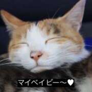 ヒメ日記 2025/09/18 20:10 投稿 ゆき 上野ハンドメイド