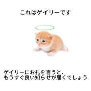 ヒメ日記 2025/11/06 18:45 投稿 ゆき 上野ハンドメイド