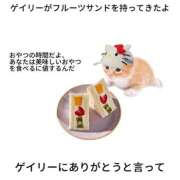 ヒメ日記 2025/11/23 21:55 投稿 ゆき 上野ハンドメイド