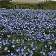 ヒメ日記 2026/01/10 21:46 投稿 ゆき 上野ハンドメイド