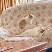 ヒメ日記 2026/02/21 22:20 投稿 ゆき 上野ハンドメイド