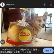 ヒメ日記 2026/03/01 19:50 投稿 ゆき 上野ハンドメイド