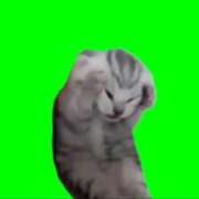 ゆき 4/5ゆきいます☃️😿 上野ハンドメイド