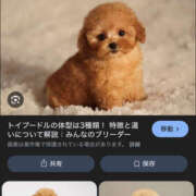 ヒメ日記 2026/04/09 00:18 投稿 ゆき 上野ハンドメイド