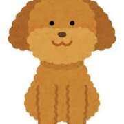 ヒメ日記 2026/04/09 22:20 投稿 ゆき 上野ハンドメイド