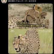 ヒメ日記 2026/06/12 19:09 投稿 ゆき 上野ハンドメイド