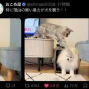 ヒメ日記 2026/07/24 22:30 投稿 ゆき 上野ハンドメイド